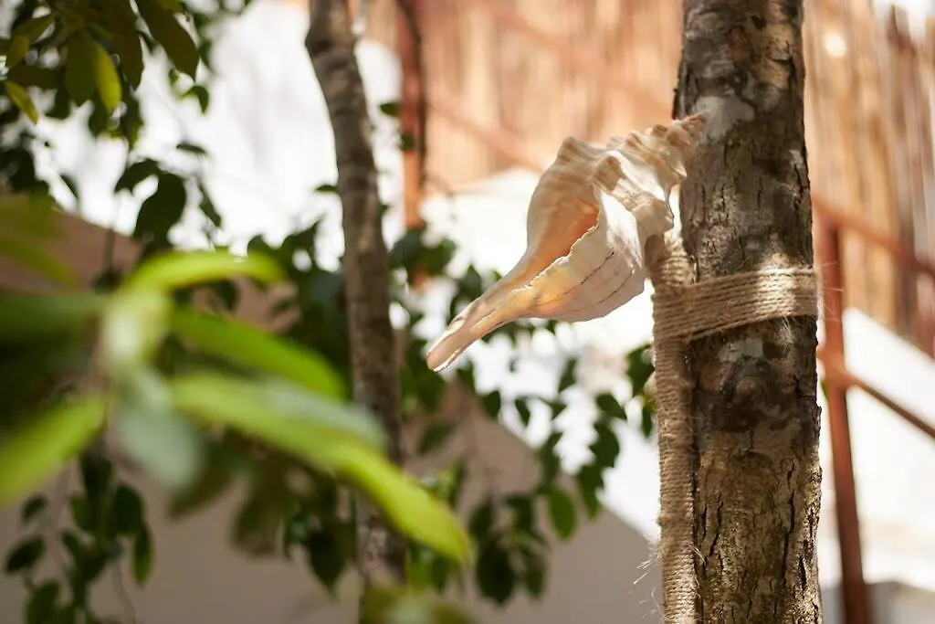 Luxury&Nature Villa Rosita Tulum/ Work&Rest Spaces トゥルム